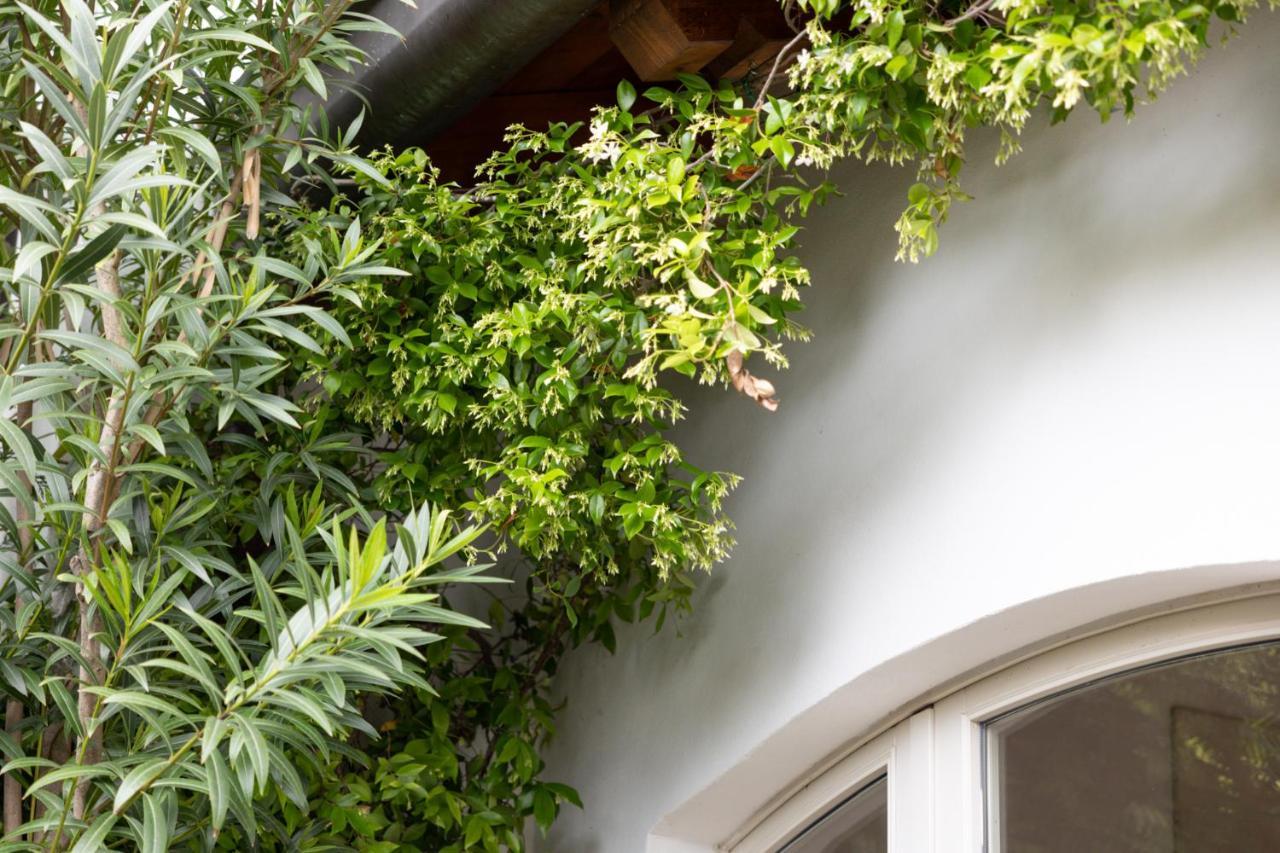 The Artist'S Nest - By My Home In Como Exteriér fotografie